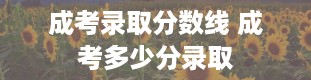 成考录取分数线 成考多少分录取