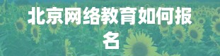 北京网络教育如何报名