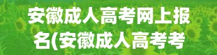 安徽成人高考网上报名(安徽成人高考考试招生网址是什么)