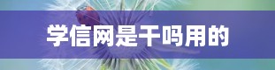 学信网是干吗用的