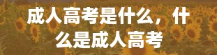 成人高考是什么，什么是成人高考