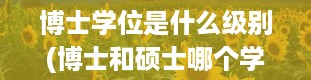 博士学位是什么级别(博士和硕士哪个学位更高)