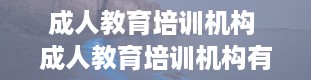 成人教育培训机构 成人教育培训机构有哪些 排行前十名机构推荐