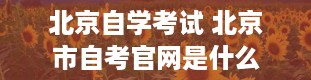 北京自学考试 北京市自考官网是什么