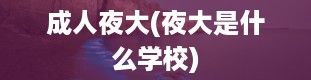 成人夜大(夜大是什么学校)