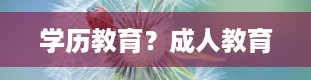 学历教育？成人教育