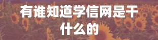 有谁知道学信网是干什么的