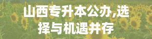 山西专升本公办,选择与机遇并存