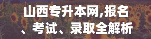 山西专升本网,报名、考试、录取全解析