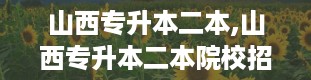 山西专升本二本,山西专升本二本院校招生情况分析