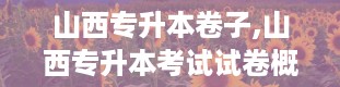 山西专升本卷子,山西专升本考试试卷概述及备考建议