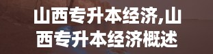 山西专升本经济,山西专升本经济概述