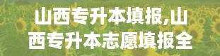 山西专升本填报,山西专升本志愿填报全攻略