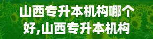 山西专升本机构哪个好,山西专升本机构哪家强？揭秘优质机构选择指南