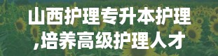 山西护理专升本护理,培养高级护理人才的摇篮