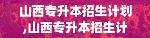 山西专升本招生计划,山西专升本招生计划全面解析