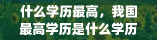 什么学历最高，我国最高学历是什么学历