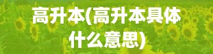 高升本(高升本具体什么意思)