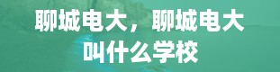 聊城电大，聊城电大叫什么学校