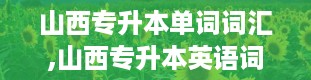 山西专升本单词词汇,山西专升本英语词汇的重要性