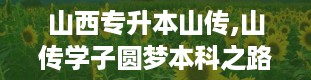 山西专升本山传,山传学子圆梦本科之路