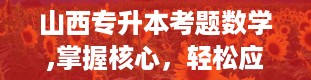 山西专升本考题数学,掌握核心，轻松应对