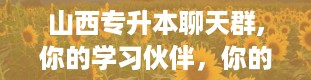 山西专升本聊天群,你的学习伙伴，你的信息枢纽