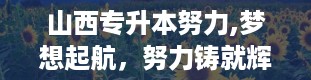 山西专升本努力,梦想起航，努力铸就辉煌