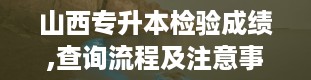 山西专升本检验成绩,查询流程及注意事项