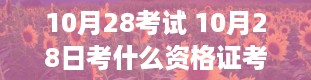 10月28考试 10月28日考什么资格证考试