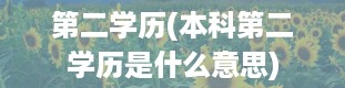 第二学历(本科第二学历是什么意思)