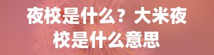 夜校是什么？大米夜校是什么意思