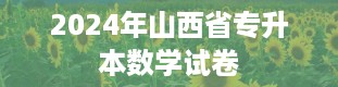 2024年山西省专升本数学试卷