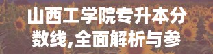 山西工学院专升本分数线,全面解析与参考