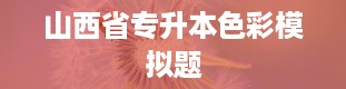 山西省专升本色彩模拟题