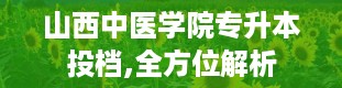 山西中医学院专升本投档,全方位解析