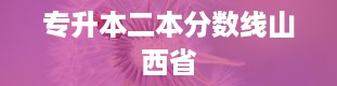 专升本二本分数线山西省