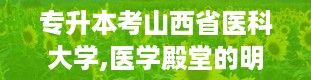 专升本考山西省医科大学,医学殿堂的明珠