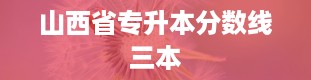 山西省专升本分数线三本