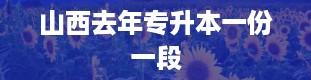 山西去年专升本一份一段