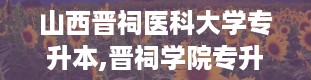 山西晋祠医科大学专升本,晋祠学院专升本情况揭秘