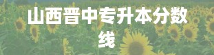 山西晋中专升本分数线