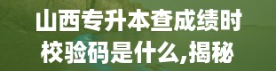 山西专升本查成绩时校验码是什么,揭秘山西专升本成绩查询的神秘面纱