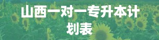 山西一对一专升本计划表