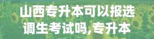 山西专升本可以报选调生考试吗,专升本可以报选调生吗