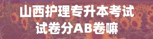 山西护理专升本考试试卷分AB卷嘛