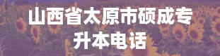 山西省太原市硕成专升本电话