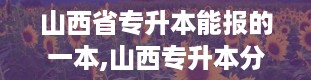 山西省专升本能报的一本,山西专升本分数线2024