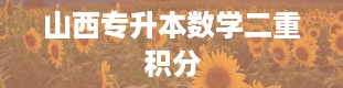 山西专升本数学二重积分