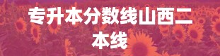 专升本分数线山西二本线